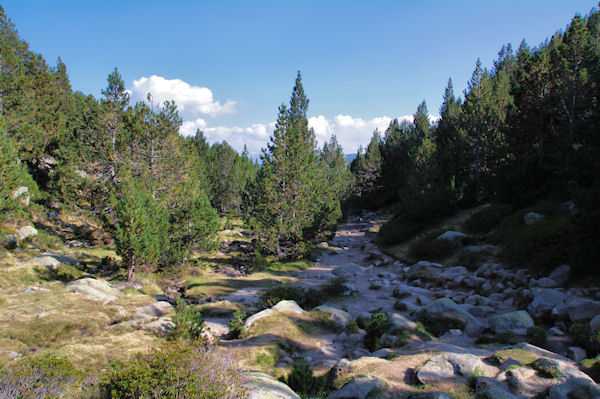 Le chemin descendant vers les Bouillouses