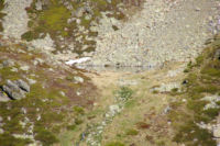 Le Lac de Bassa de Mercader