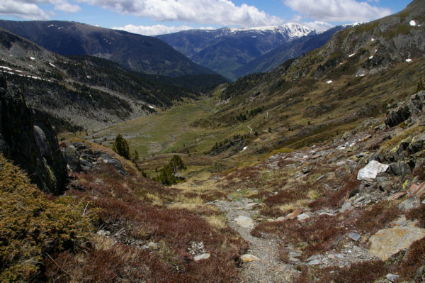 Les pentes de la Sola de Cortal Rosso menant  la valle de Queforc