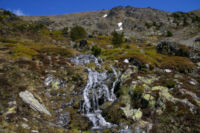 Cascades sur les pentes de la Sola de Cortal Rosso