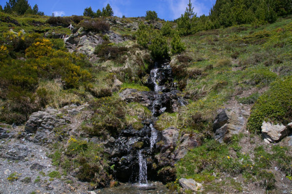 Une petite cascade descendant de Jaa Gran dans les genets