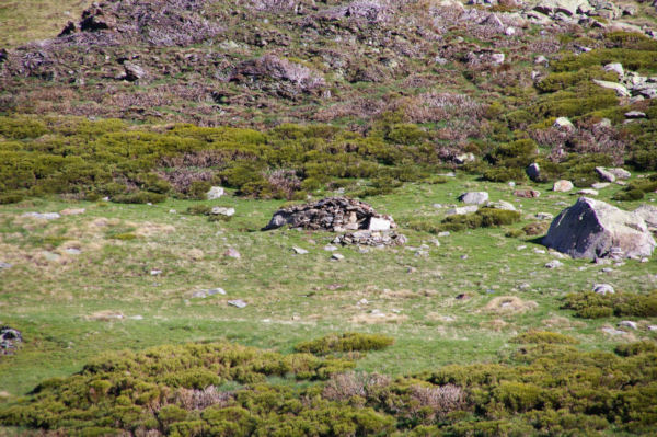 Un orri en ruine dans la Coma d en Garcia