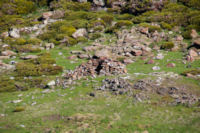 Un orri en ruine dans la Coma d en Garcia