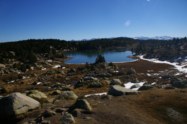 L'Estany de la Comassa