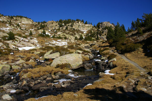 Le ruisseau alimentant l' Estany Llon et l'Estany Llat