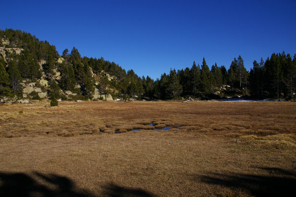 Un etourbire vers l'Estany de la Comassa