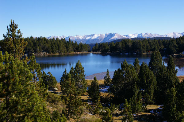 L'Estany del Viver