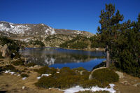 L'Estany de la Comassa