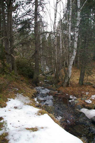 Le Rec de l'Estany de Font Viva