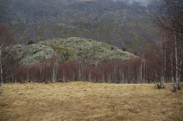 Harmonie de couleurs dans le vallon de Font Viva