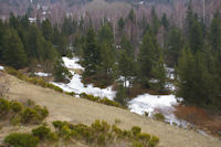 Le vallon de Font Viva depuis Els Camps de la Costa