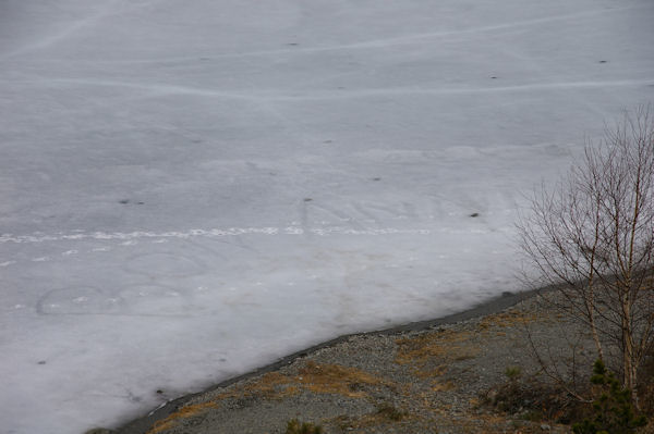 Bon Anniv grav dans la glace, mais  Qui?