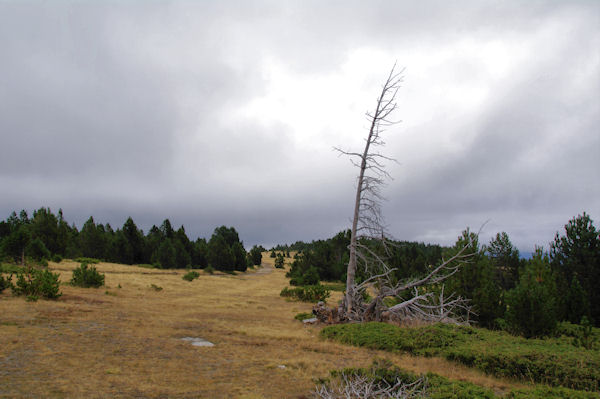 Vers le refuge de la Calma