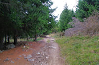 Le chemin menant au Coll del Pam