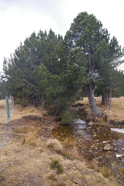 El Corral au Sud-Ouest du Lac de Matemale