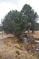 El Corral au Sud-Ouest du Lac de Matemale