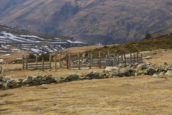 Un parc  moutons prs du col de Puymorens