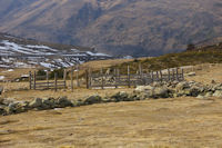 Un parc  moutons prs du col de Puymorens