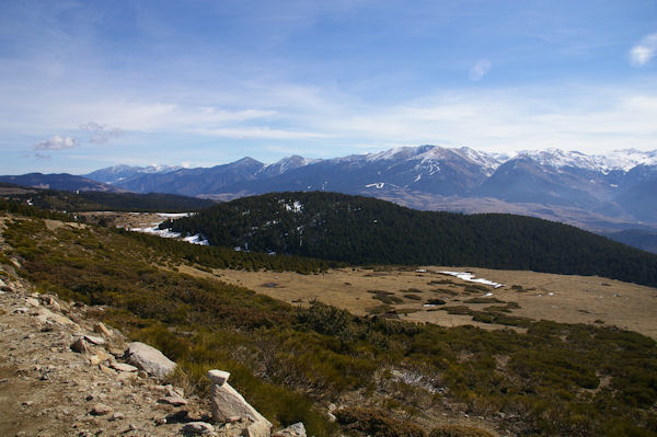 Le Bosc de Saquers depuis le chemin montant au Pic dels Moros