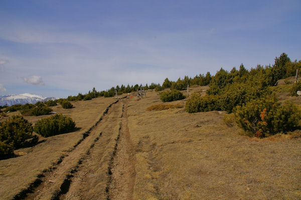 Le chemin malmen par les 4x4 en arrivant au Pic dels Moros