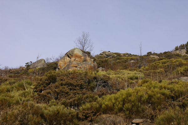 La Croix de la Solane au dessus des Bergeries