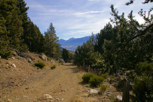 Le chemin montant  la Croix de la Solane en arrivant au Bosc de Saquers