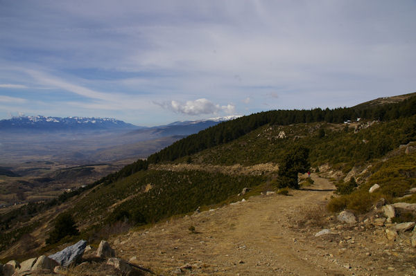 Le Bosc de Saquers depuis la Croix de la Solane