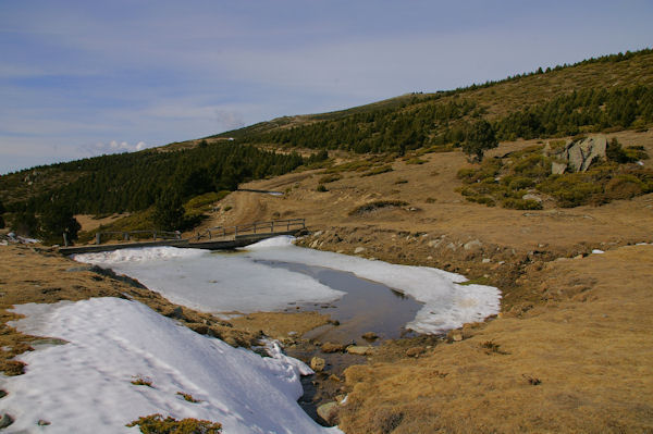 Un petit laquet au Rec de Ribals