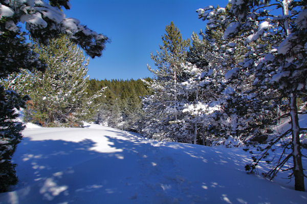 Sous la Tossa de Nambet