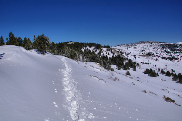 La crte finale menant  la Tossa de Nambet,  droite, le Pic dels Moros