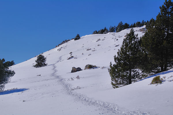 La Tossa de Nambet