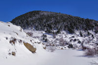 Le Bosc de Saquers