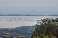 Les parcs a huitres de l'etang de Leucate