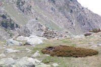 Une toue au dessus de l'Estany Gros