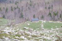 Une cabane dans la Coma de Campcardos