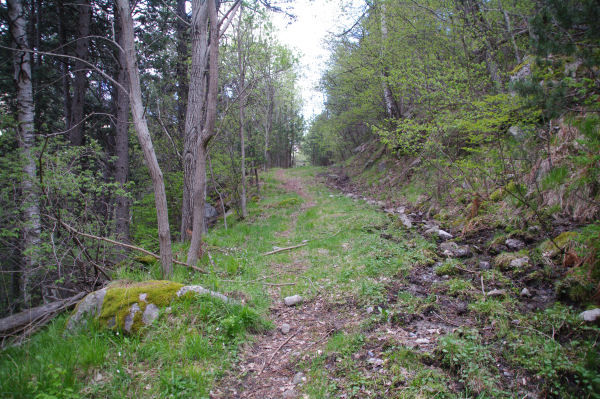 Le chemin au dessus de la valle du Riu de Querol