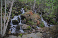 Le ruisseau du Rec de Malforat