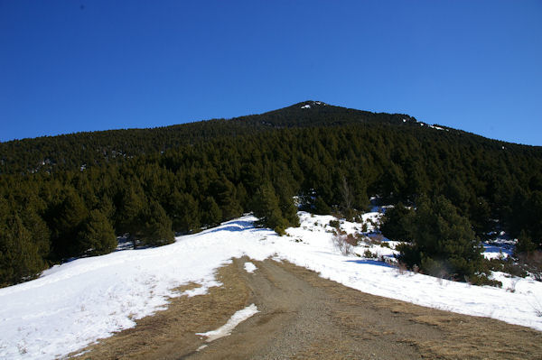 Au coll de Juvell domin par la Pica del Quer