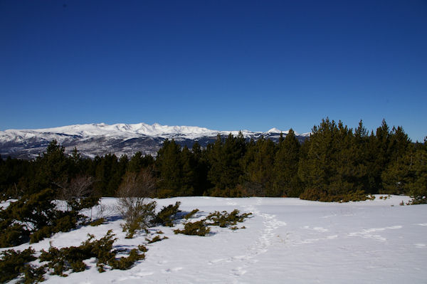 Le massif du Carlit depuis le Coll de Juvell