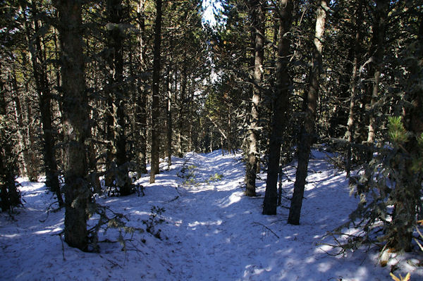 Lea descente vers la Carrerada depuis le Coll de Juvell