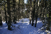 Lea descente vers la Carrerada depuis le Coll de Juvell