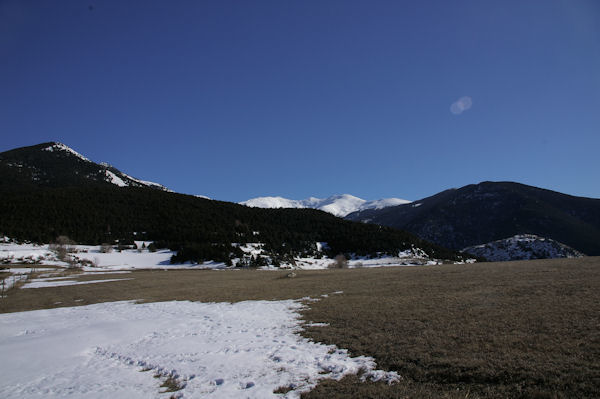 De gauche  droite, la Pica del Quer boise, le Puigmal de Sgre et le Puigmal d_Err enneigs et la Tossa d_Err boise depuis la Serra de Llo