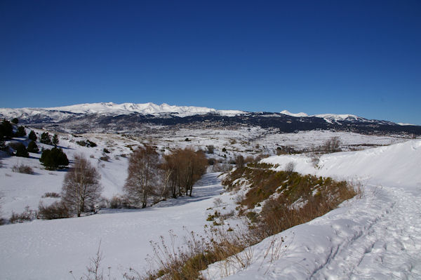 La Coma Enlla, au fond, Font Romeu domin par le massif du Carlit