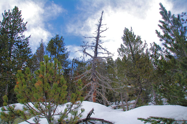 Paysages vers l_Estany de la Pradella