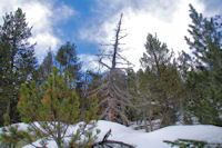 Paysages vers l_Estany de la Pradella