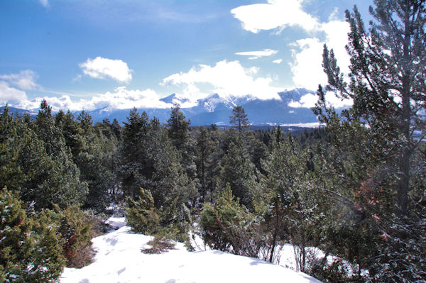 En remontant dans la fort de Bolqure au dessus de Pyrnes 2000