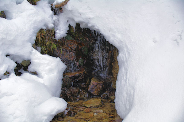 Petite source au dessus du Pla dels Avellans