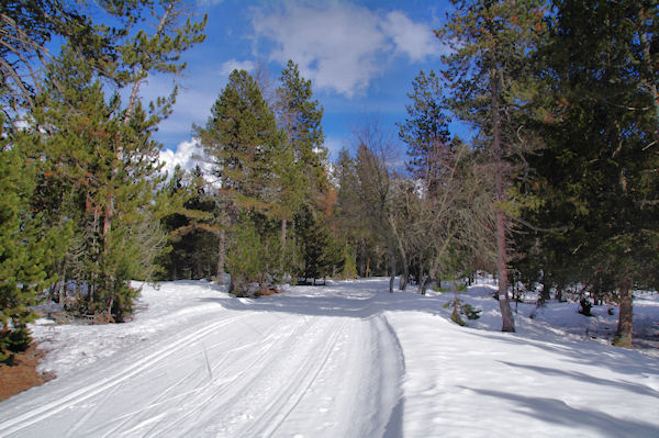 Sur la piste de ski de fond  Saleres d_en Guinot