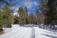 Sur la piste de ski de fond  Saleres d_en Guinot