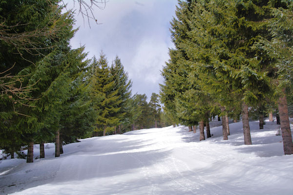 Large chemin remontant vers le Coll del Palm